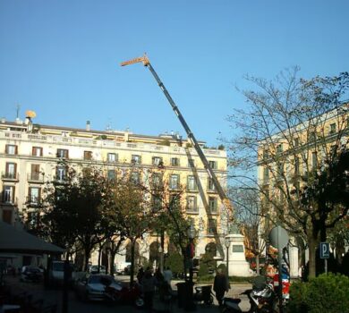 projectes d'elevació grua edifici